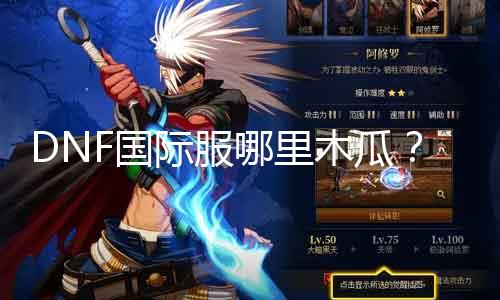 DNF国际服哪里木瓜？探寻游戏中的“木瓜之谜”